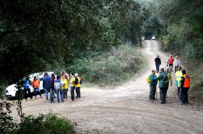Grupos de voluntarios buscando a Jordi.-JOAN CASTRO / ICONNA