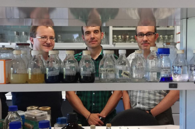 Alberto Sola, Carlos Barreiro y Antonio Rodríguez, investigadores implicados en el proyecto, en las instalaciones del Instituto de Biotecnología de León.-EL MUNDO