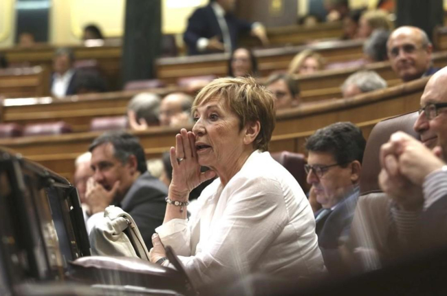 Celia Villalobos en el Congreso de los Diputados.-DAVID CASTRO