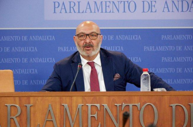 Alejandro Hernández, portavoz en el Parlamento andaluz de Vox Andalucía.-EL PERIÓDICO