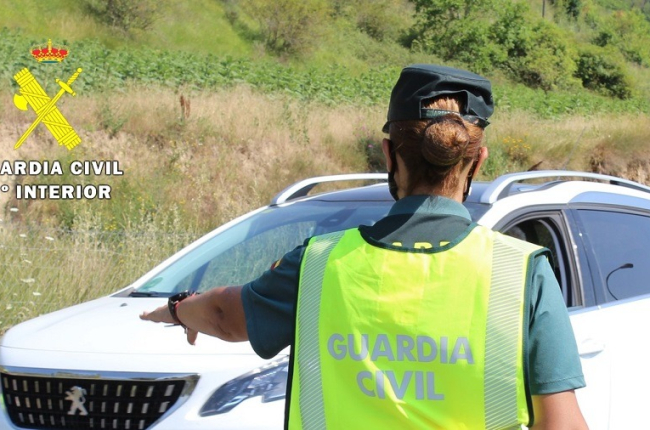 La Guardia Civil investiga a dos presuntos estafadores que se hacían pasar por revisores del gas. GUARDIA CIVIL