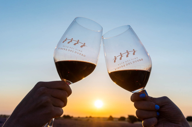 La Ribera del Duero es una de las zonas vinícolas de mayor prestigio