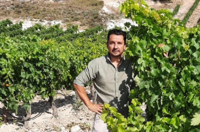 Alfonso Velasco, de Bodegas El Inicio, posa en uno de sus viñedos en Ribera del Duero