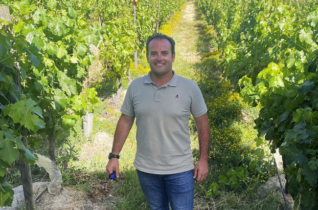 Gerardo Brox acumula 20 años de experiencia en los viñedos de Ribera delDuero. E. M.