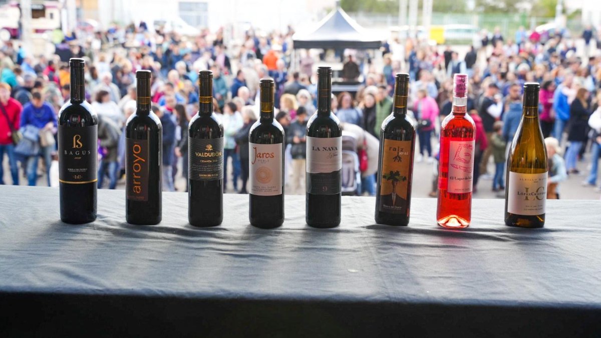 Ganadores de los Premios Envero 2023