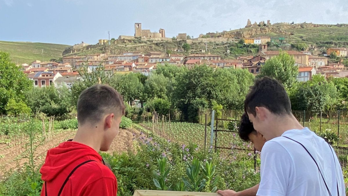 Alumnos hacen la ruta creada.