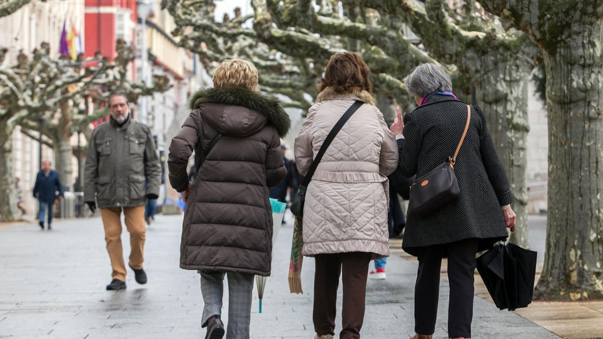 Un grupo de mujeres camina por el Paseo del Espolón.