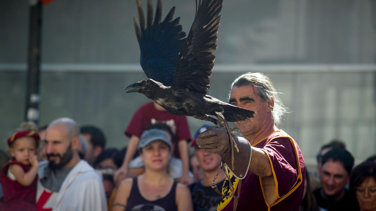 Instante de la exhibición de aves de Burgos Cidiano 2023.