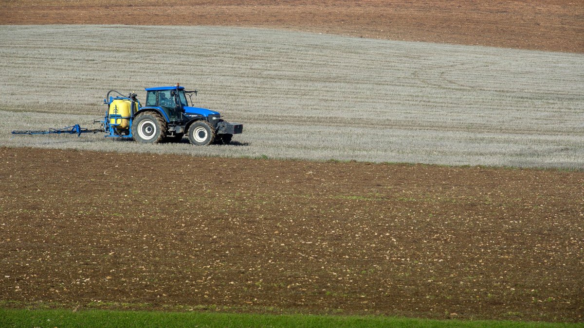 La agricultura es uno de los sectores que más ocupados ha ganado.