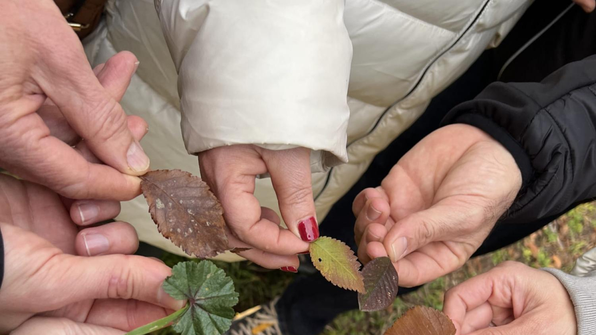 Una baño de bosque guiado incluye propuestas para reforzar la conexión con la naturaleza.