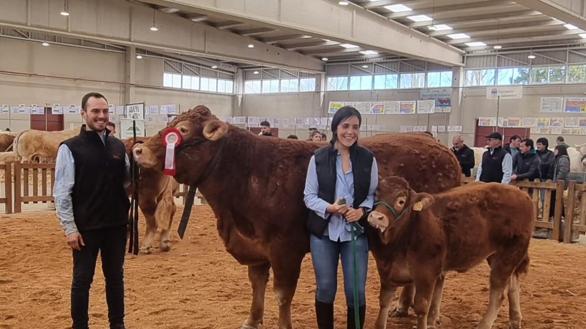 Aitor Sainz Maza, en la última edición del Salón del Vacuno de Salamanca, con Saskia y Uganda, su ternera de cinco meses y medio.