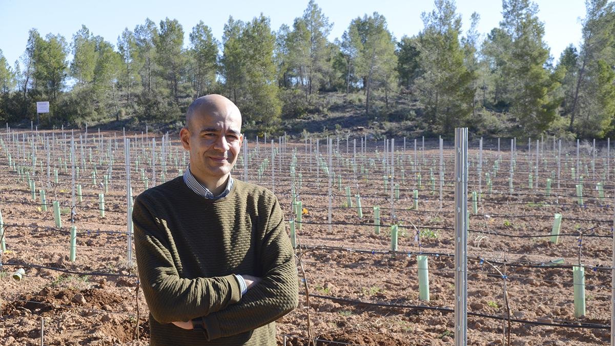 Diego S. Intrigliolo posa en un viñedo de Ribera del Duero.