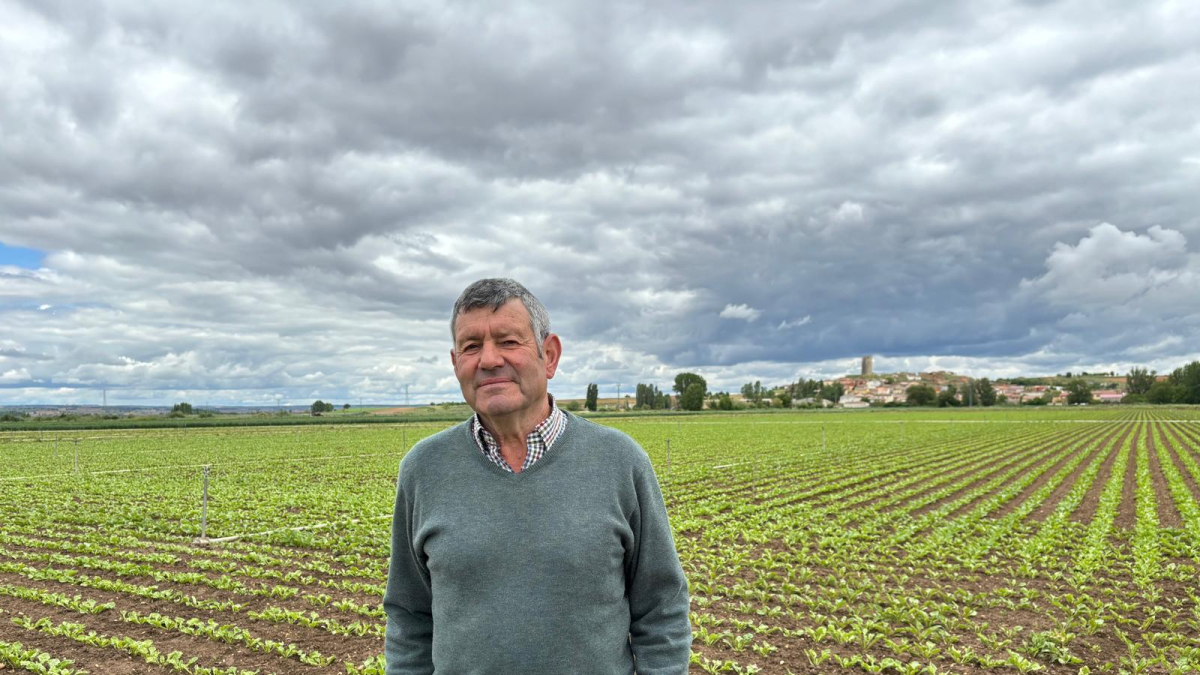 Juan Antonio González posa en una de las parcelas de remolacha en Hoyales (Burgos)