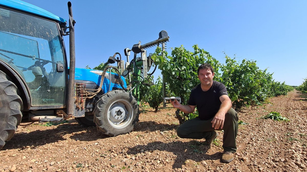 Nacho Rincón posa en su viñedo de Moradillo de Roa (Burgos)