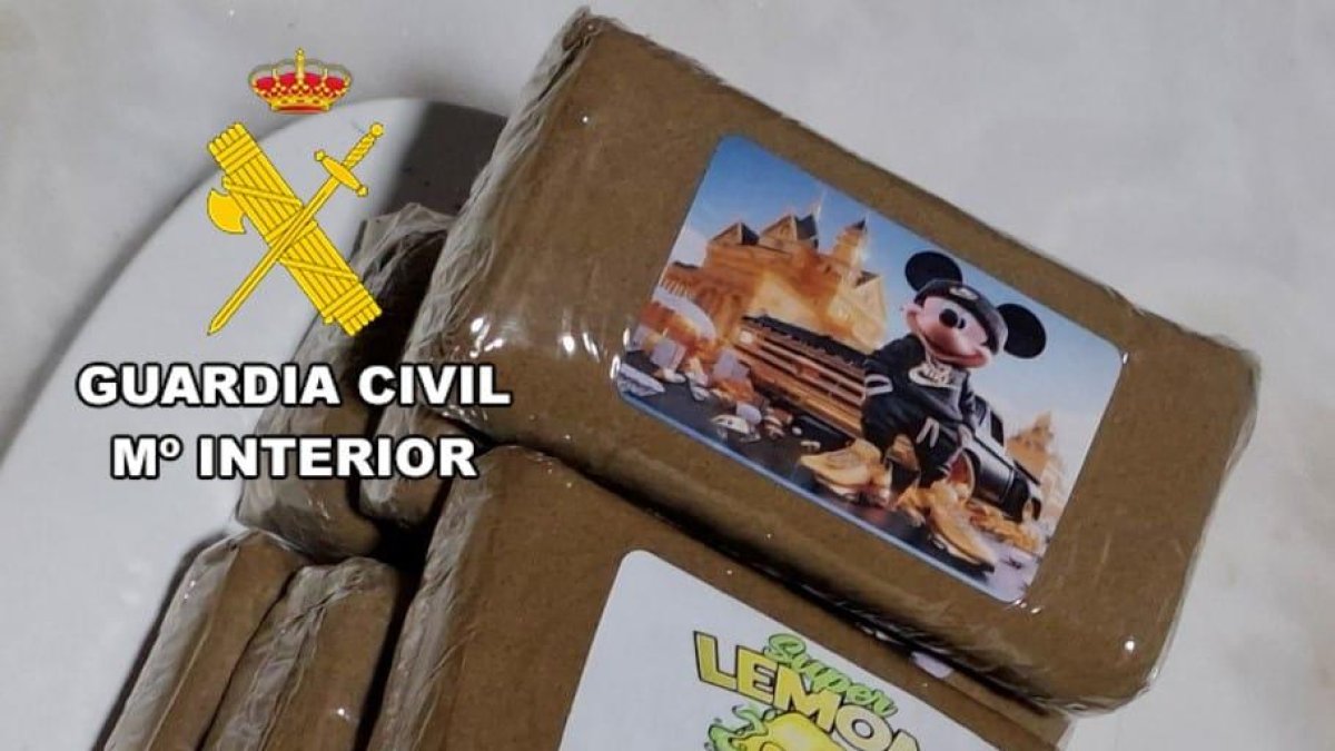 Hachís decomisado por la Guardia Civil en un piso de Burgos.