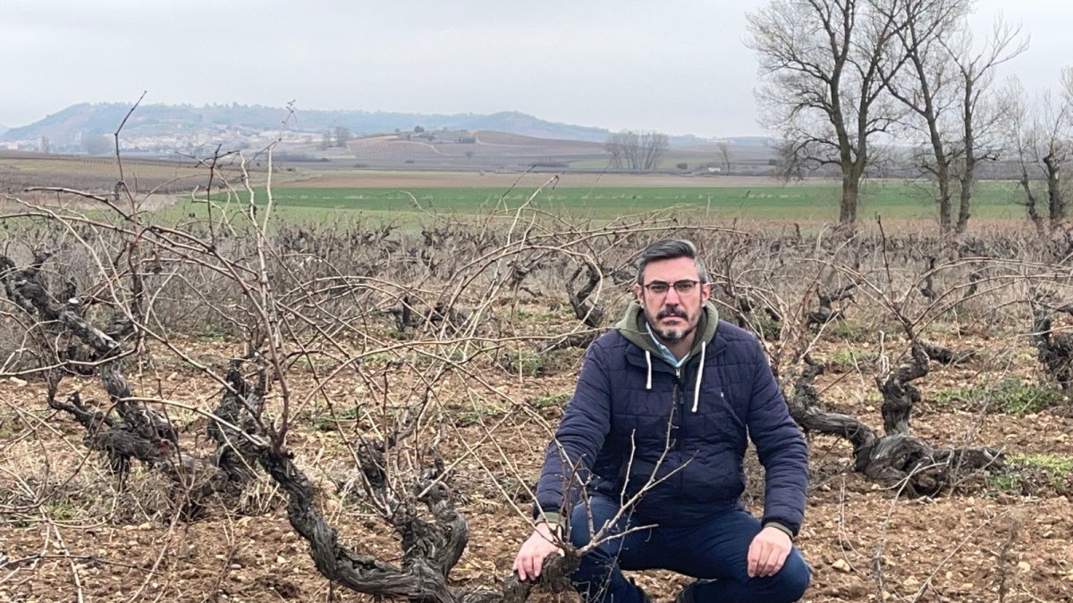 Iker Ugarte es el presidente de la asociación de bodegas Asebor
