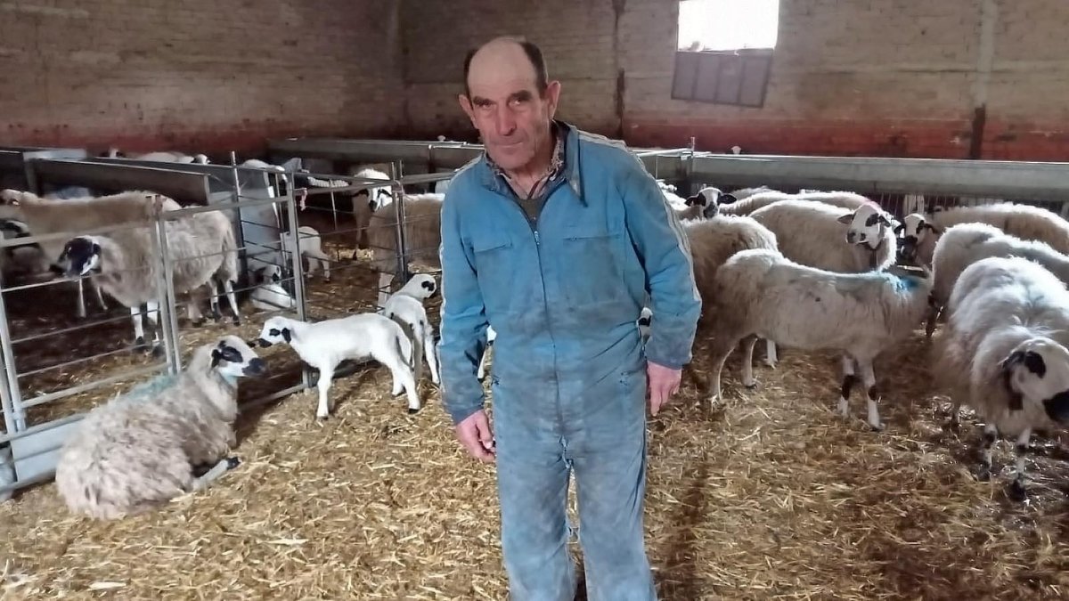 José Arauzo posa en su explotación ovina.