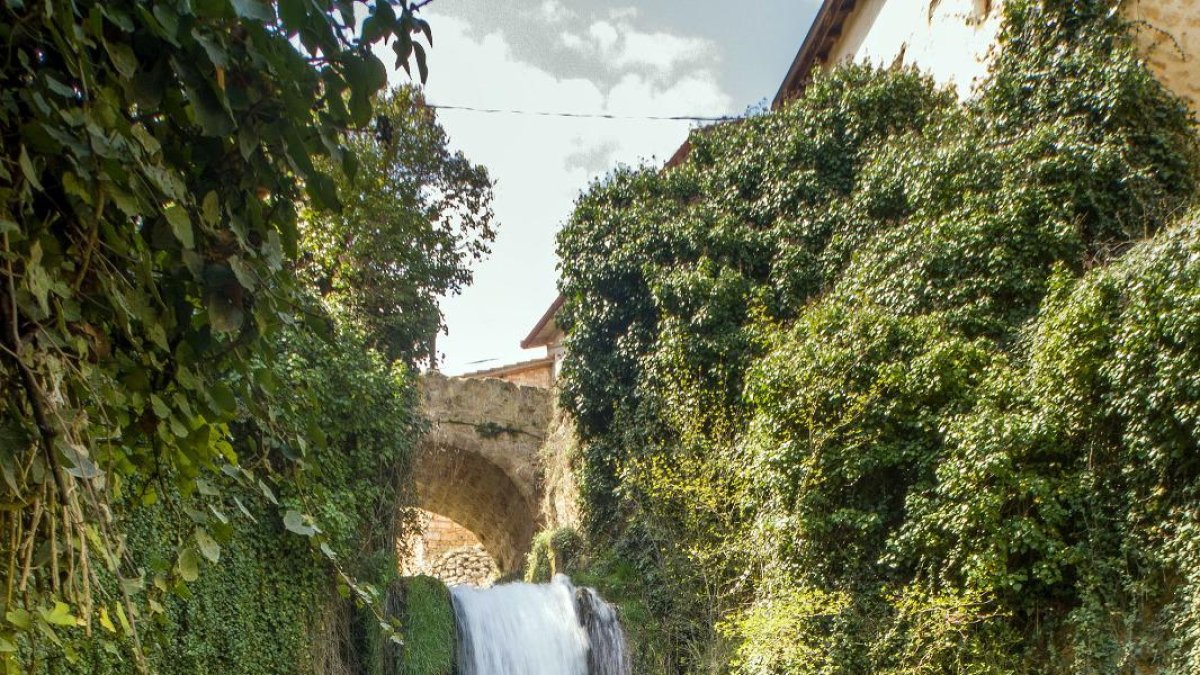 El turista extranjero se acerca cada vez mas al turismo rural que ofrecen los pequeños pueblos de Burgos.