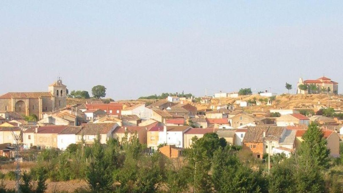 Los viñedos forman parte del paisaje de Anguix.