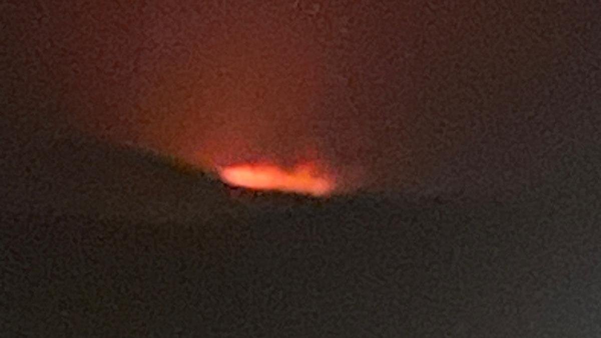 Incendio forestal en Palacios de la Sierra.