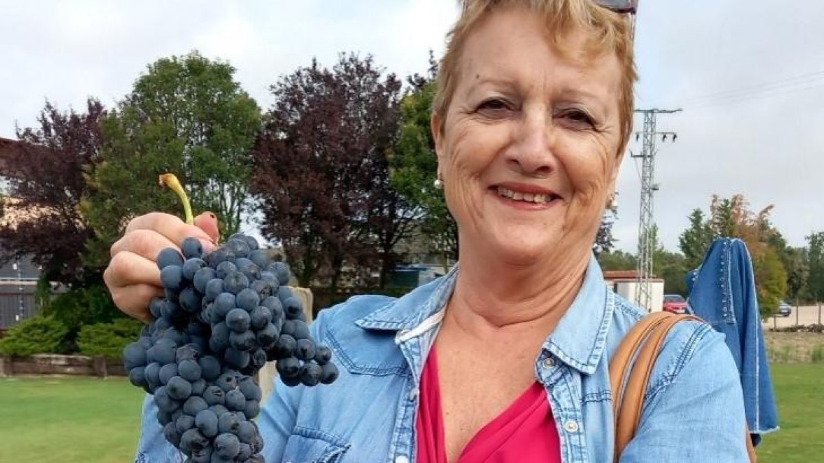 Enoturismo en la Ribera del Duero