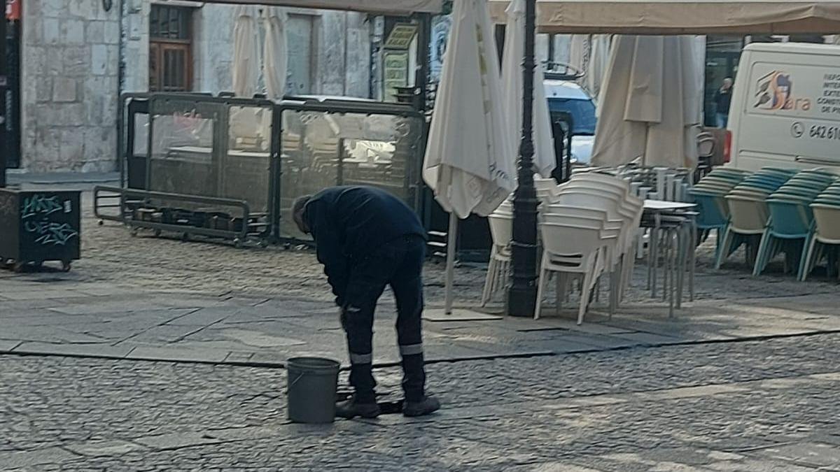 Un técnico de control de plagas del Ayuntamiento revisa una alcantarilla en la plaza de La Flora.