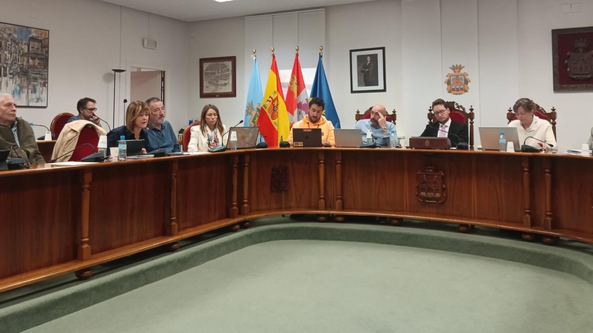 Imagen del pleno celebrado esta mañana en Aranda