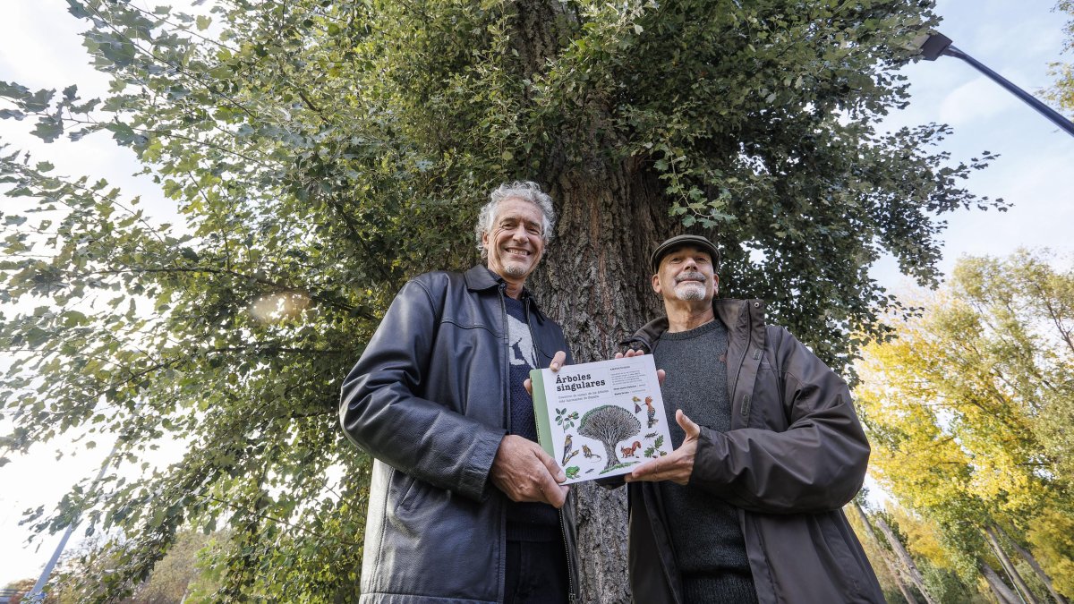 César-Javier-Palacios y Nacho Sevilla, bajo el álamo de La Quinta.