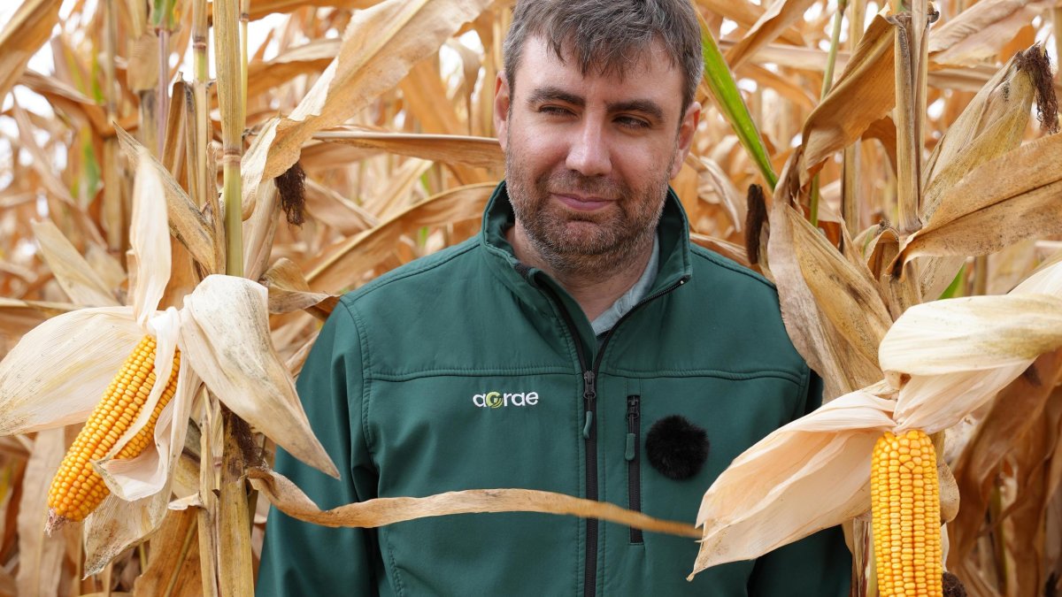 Jorge Miñon, director técnico de Agrae