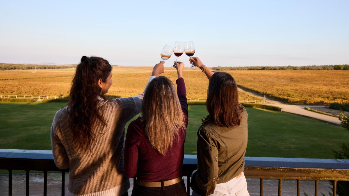 La Ruta del Vino Ribera es la segunda más visitada de España