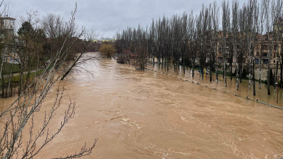 Imagen actual del Duero a su paso por Aranda