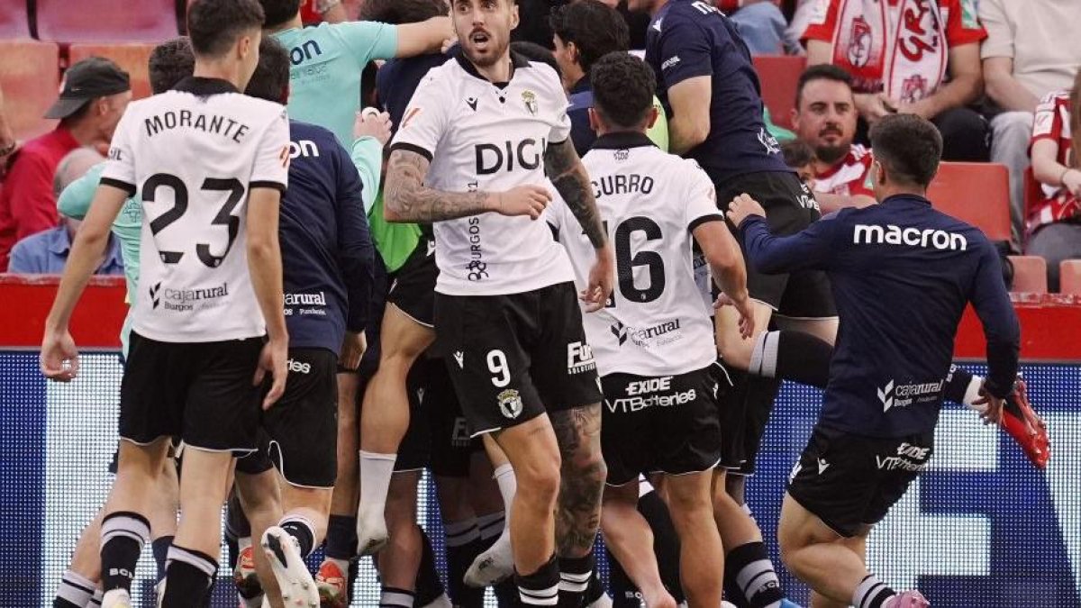 Los jugadores celebran el gol ante el Granada.