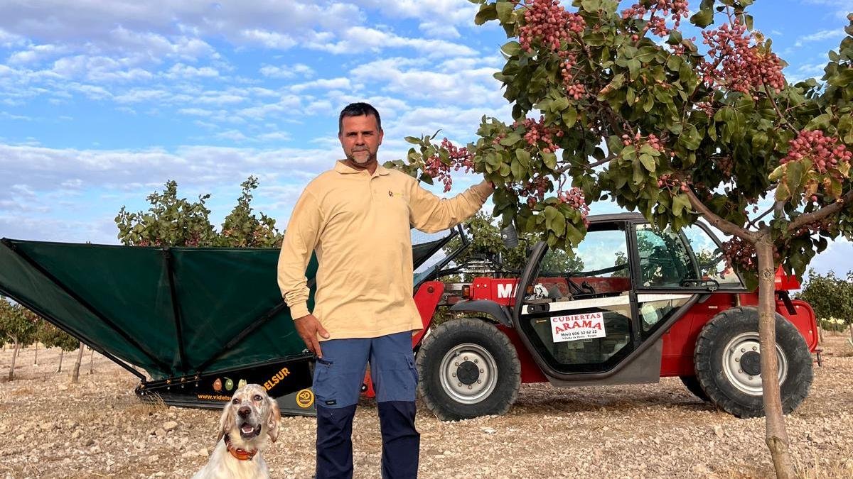 Antonio posa en una de las parcelas que está cosechando estos días
