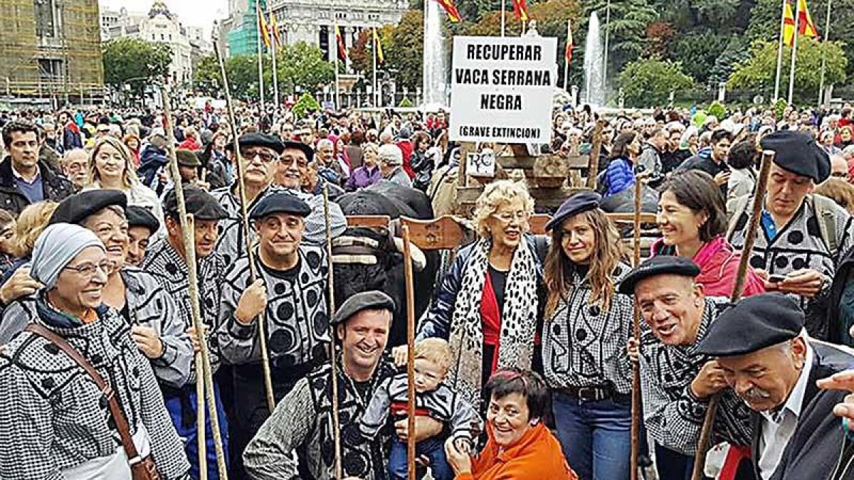 Carreteros de Quintanar de la Sierra junto a la alcaldesa de Madrid, Manuela Carmena, en la Fiesta de la Trashumancia.-ECB
