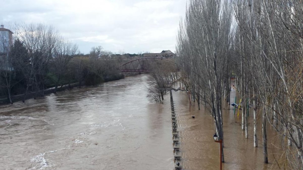 Tras varios días de preocupación, el caudal del Duero comienza a bajar.-L. V.