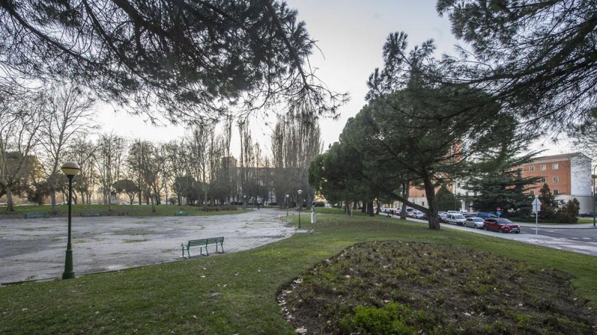 Chopos y pinos piñoneros serían los peor conservados de las especies del parque de la Cruz Roja.-ISRAEL L. MURILLO