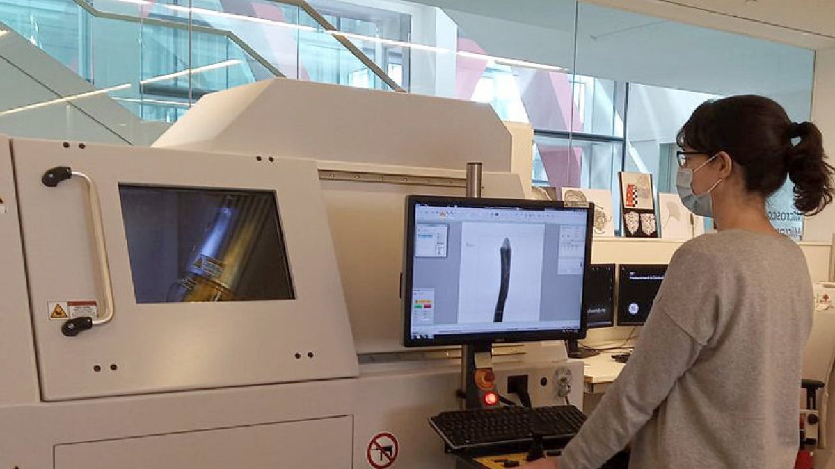 Una investigadora trabaja en el Cenieh. ECB