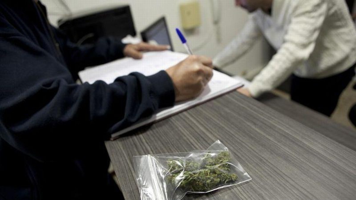 Bolsa de cannabis para uso terapéutico.-FERRAN NADEU