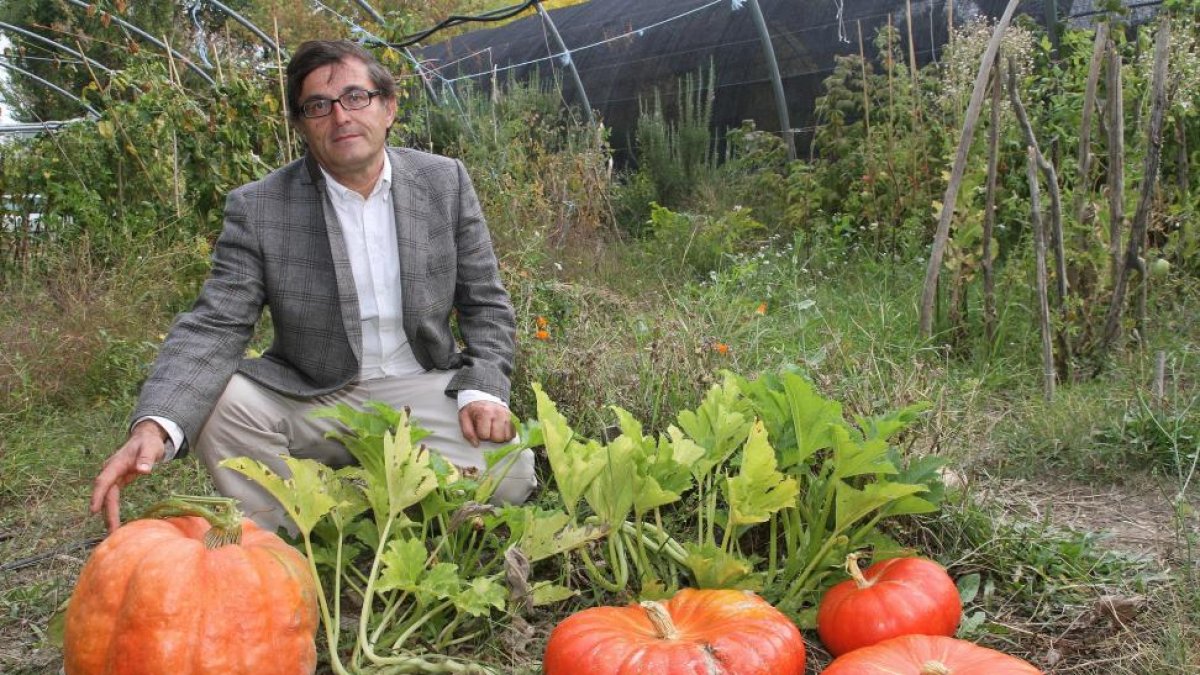El catedrático de Micología del campus de Palencia, Andrés Oria, con hortalizas abonadas con trufas enanas.-MANUEL BRÁGIMO