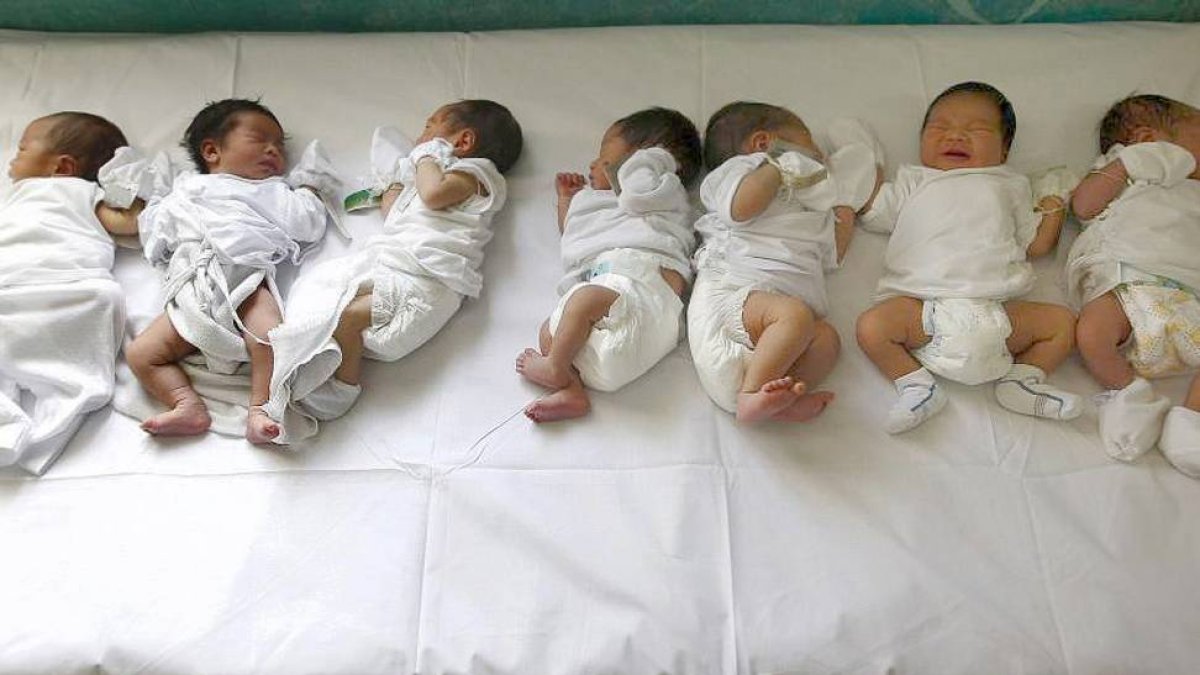 Un grupo de recién nacidos en el servicio de Obstetricia del hospital, pocas horas después de su nacimiento.-ECB