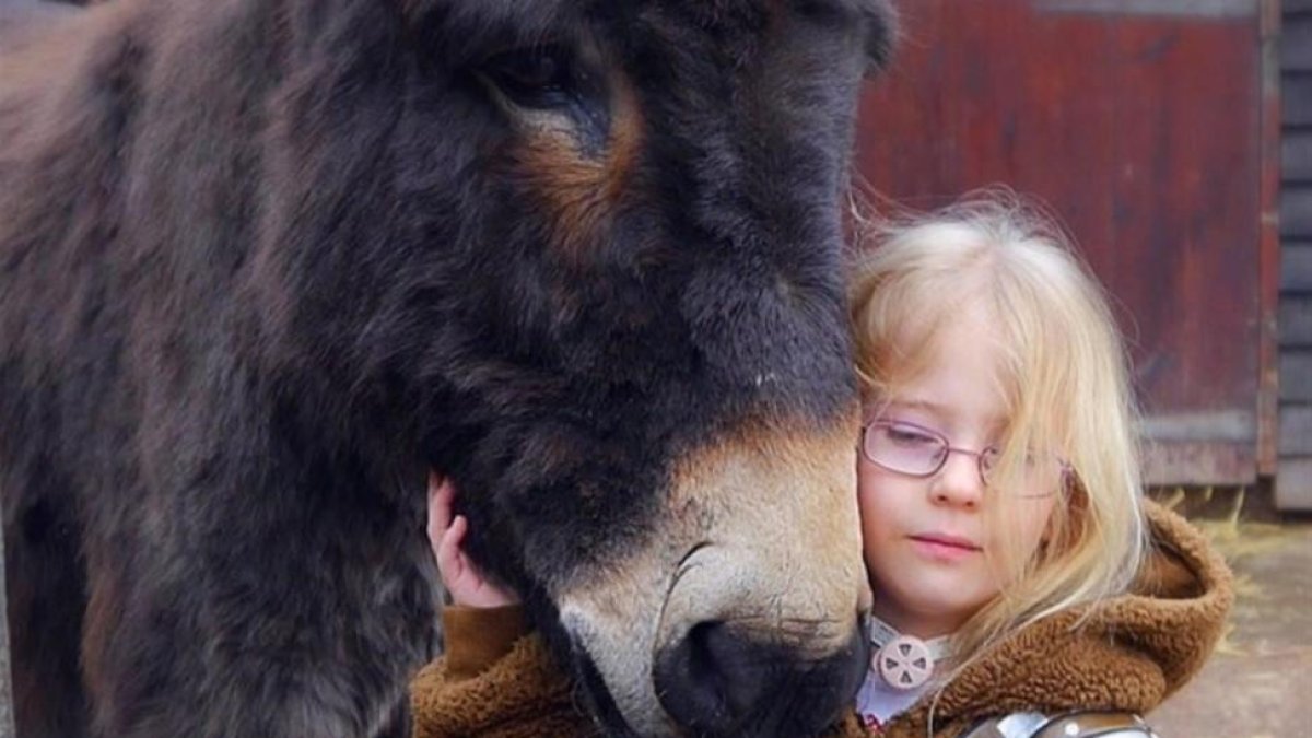 La pequeña Amber abraza a su amigo Shocky.-AGENCIA