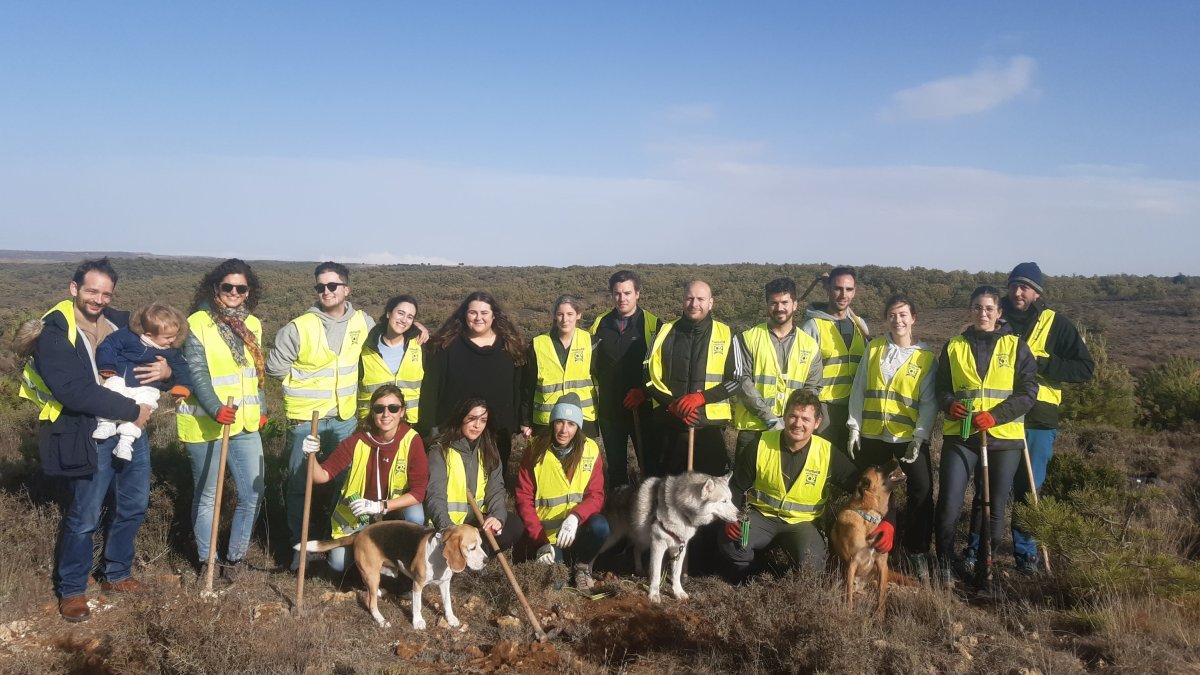 Voluntarios de Ormazabal plantan alrededor de 350 nuevos árboles en Quintanalara