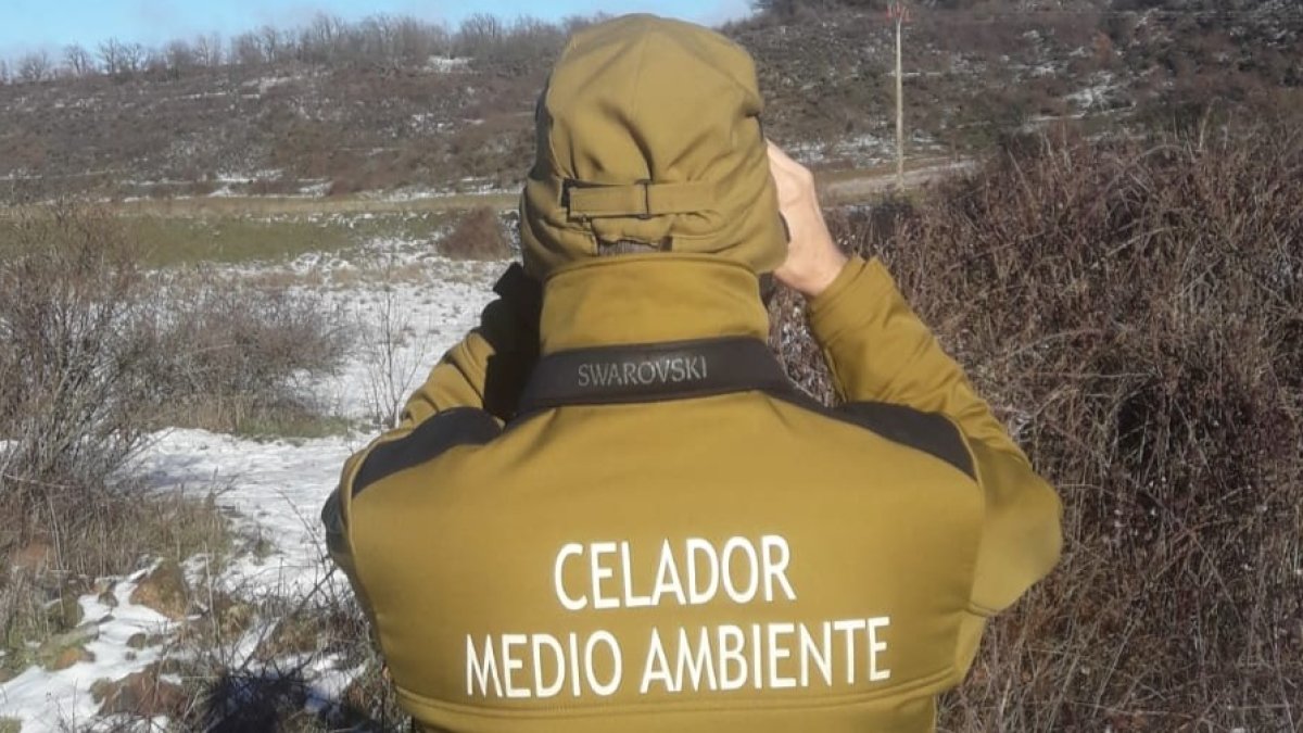 Los celadores de Medio Ambiente observaron al cazador furtivo. JCYL