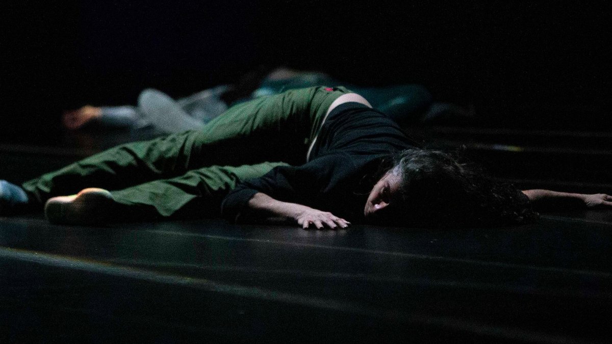 Ensalle Teatro muestra su visión del viaje del ser humano a bestia en vídeo, texto y danza. RAÚL G. OCHOA