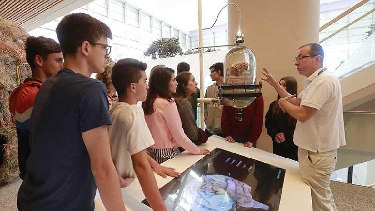 Un grupo de visitantes escuchando ayer las explicaciones de uno de los guías del Museo de la Evolución sobre el cerebro humano.-RAÚL OCHOA