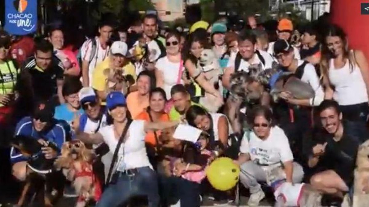 Caminata de perros como protesta en Venezuela.-