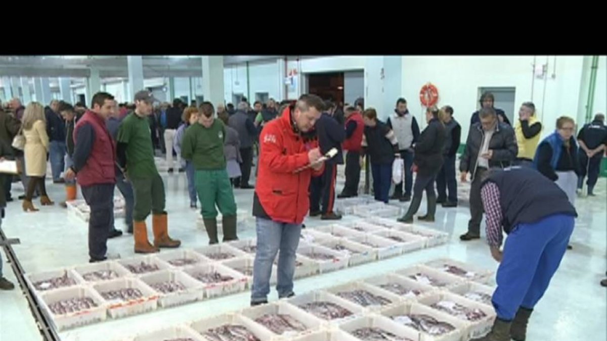 Negociación entre pescador y personal de Gadisa en la Lonja de La Coruña, donde la compañía gallega es la principal compradora.-E.M