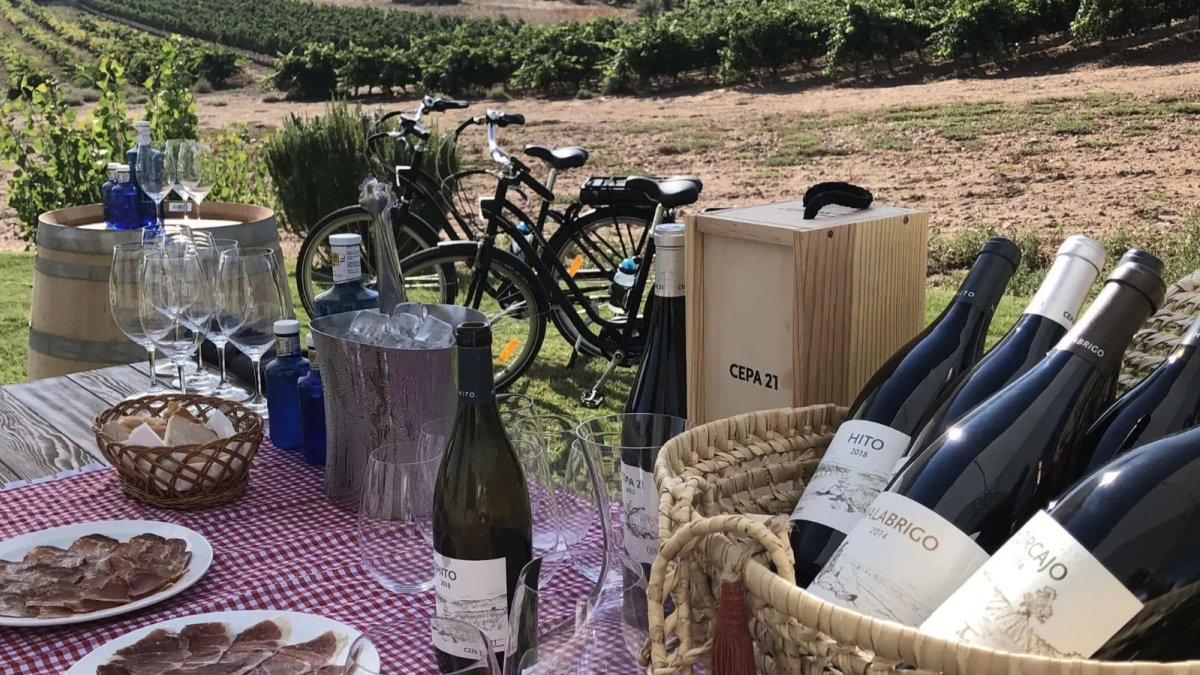 Cepa 21 propone un pase en bici entre viñedos