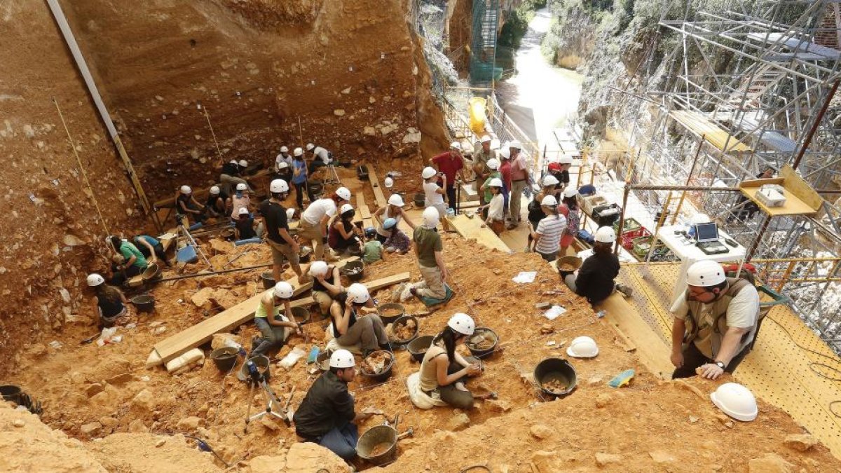 Los trabajos en Gran Dolina recuperán intensidad y excavadores para llegar a Antecessor. SANTI OTERO