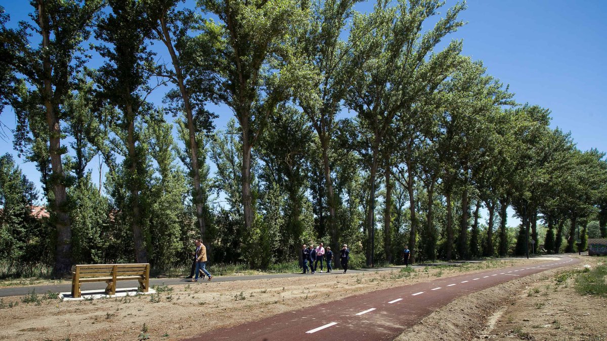 La ampliación del parque lineal del Vena, en su fase cuarta, es una de las últimas intervenciones medioambientales en esta zona. TOMÁS ALONSO